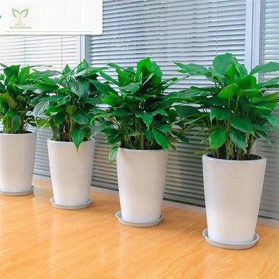 告別綠意 優(yōu)化產(chǎn)品刪除頁，提升花卉綠植租借用戶體驗