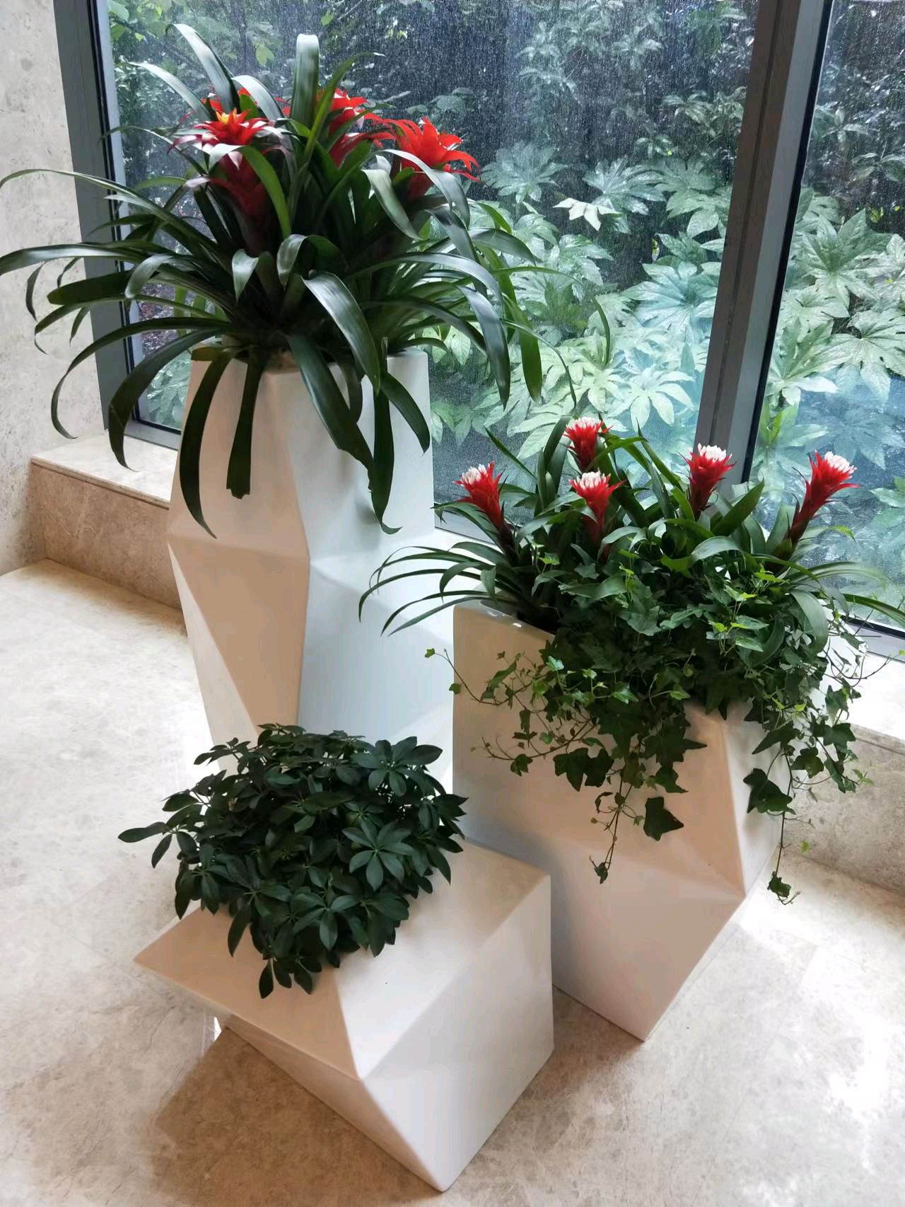 綠色生活，從專業租賃開始 一站式花卉綠植服務，打造詩意空間